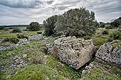 Selinunte not far from the Cave di Cusa the quarry called of the capital. 